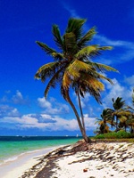 Punta Cana Dominican Republic 92